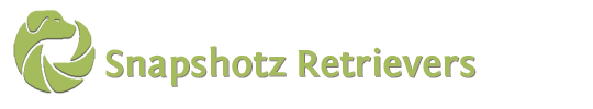 Snapshotz Retrievers logo